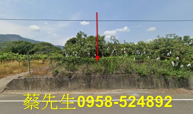 台南南化農地法拍-9