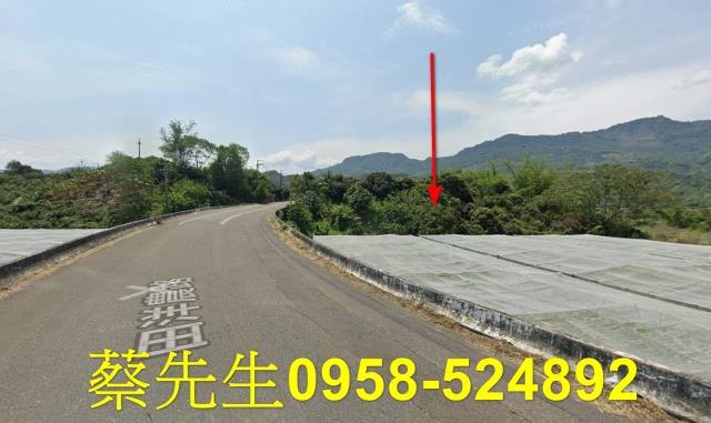 台南南化農地法拍-5