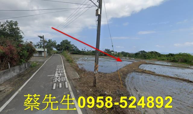 長濱農地法拍-14