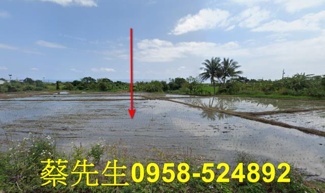 長濱農地法拍-1