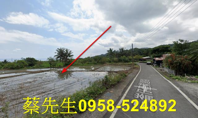 長濱農地法拍-4