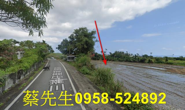 長濱農地法拍-13