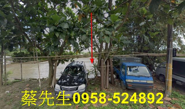 長濱農地法拍-1