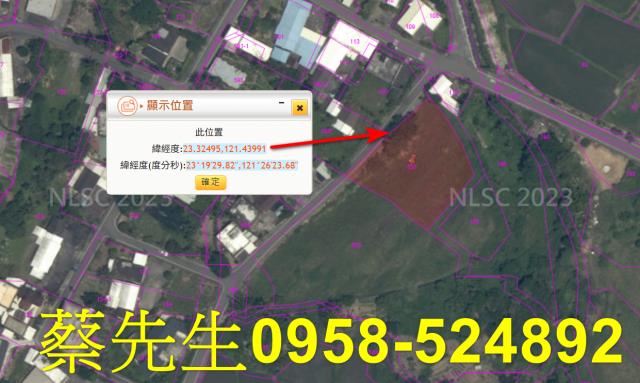 長濱農地法拍-3