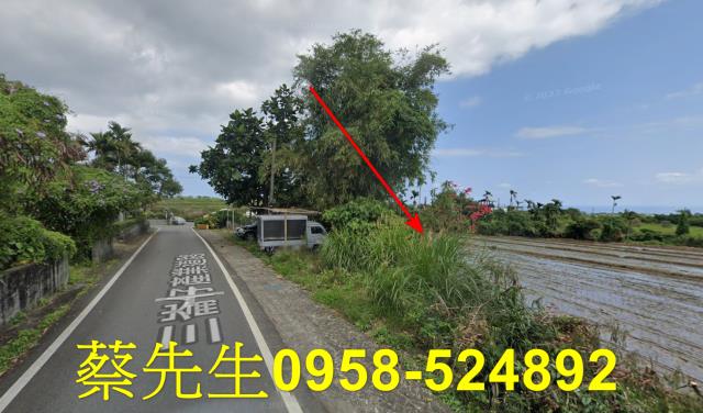 長濱農地法拍-4