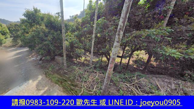 霧峰法拍農地-12