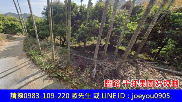 霧峰法拍農地-3