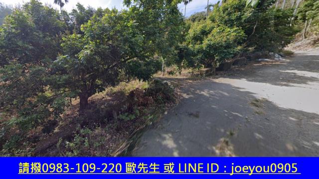 霧峰法拍農地-4