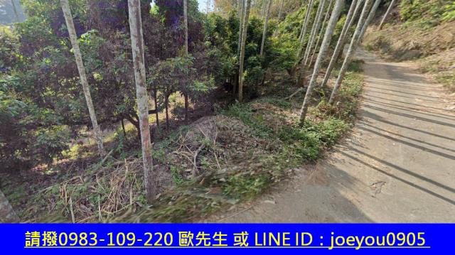 霧峰法拍農地-5