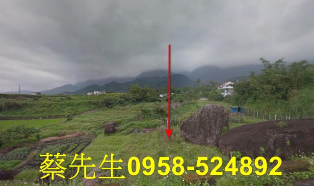 長濱法拍農地-1