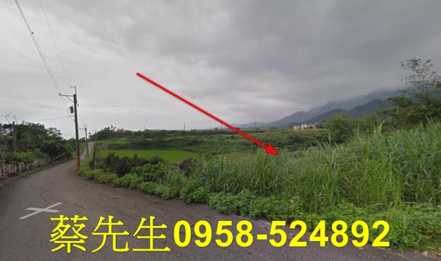 長濱法拍農地-5