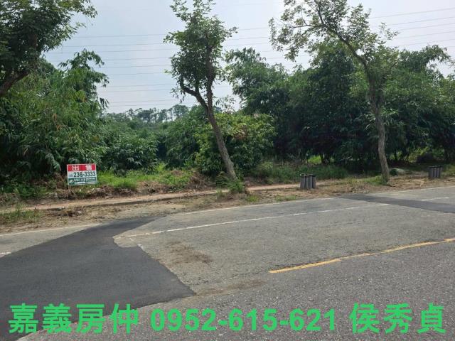 民雄農地-6