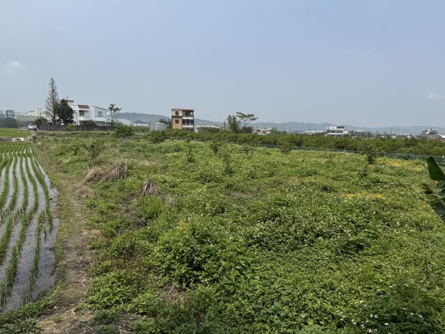 苗栗農地-1