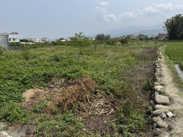 苗栗農地-5
