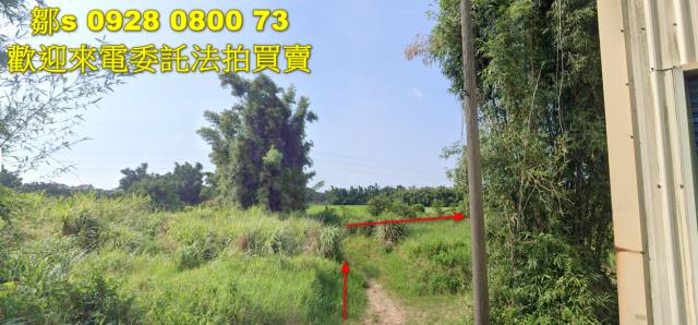 桃園建地法拍-2