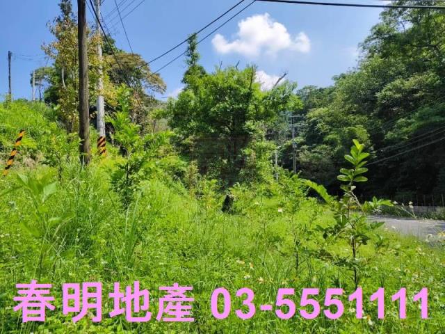 新竹橫山農地-1