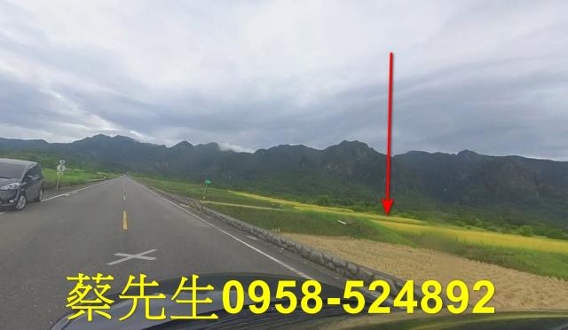 台東長濱農地拍賣-13