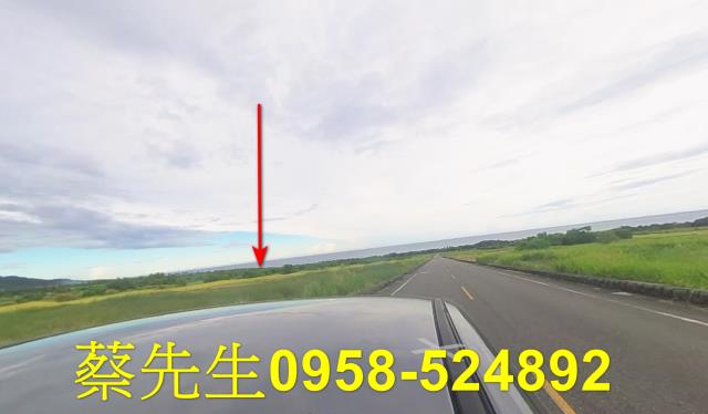 台東長濱農地拍賣-14