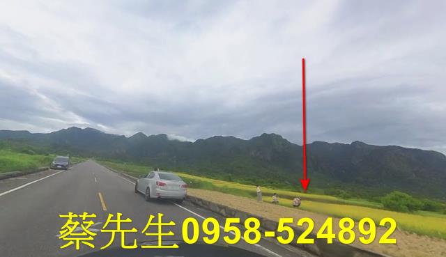 台東長濱農地拍賣-4