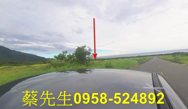 台東長濱農地拍賣-7