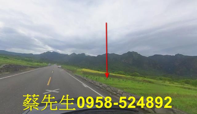 台東長濱農地拍賣-9