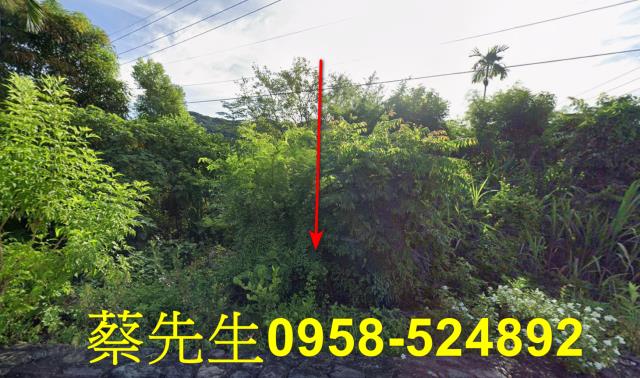 台東太麻里法拍農地-9