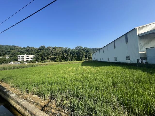 桃園農地-3