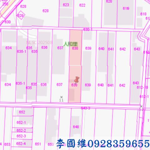 台南柳營法拍建地-3