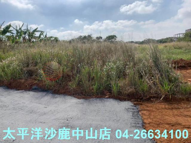 台中清水農地-5