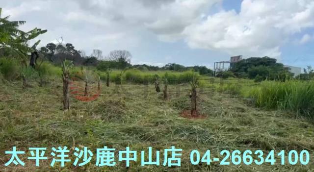 台中清水農地-7