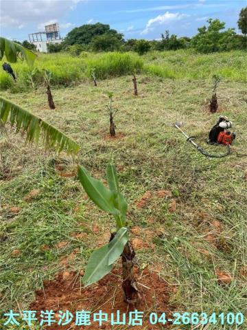 台中清水農地-8