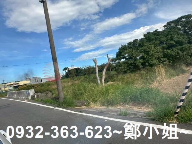 桃園蘆竹農地-2