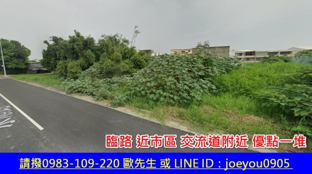 大肚法拍農地-3