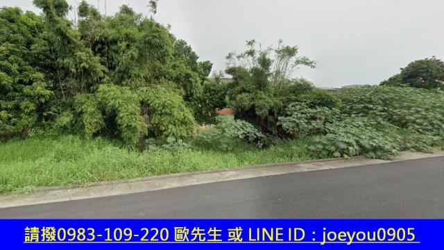 大肚法拍農地-4