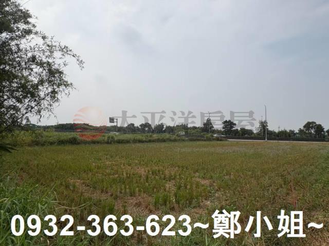 觀音農地-6