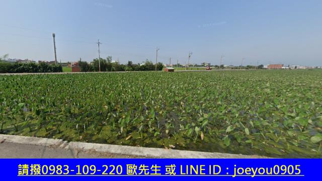 台中農地法拍-10