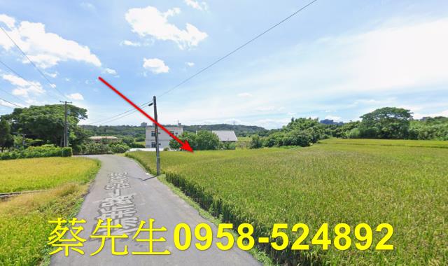 楊梅農地拍賣-13