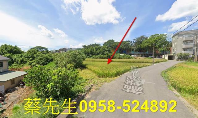 楊梅農地拍賣-15