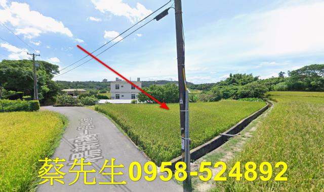 楊梅農地拍賣-4