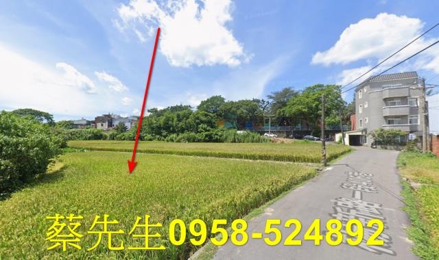 楊梅農地拍賣-6