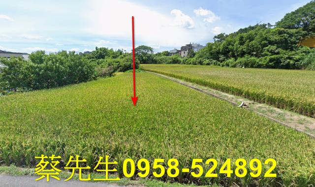 楊梅農地拍賣-9
