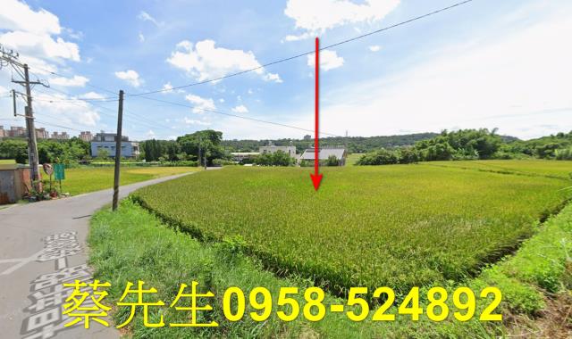 楊梅法拍農地-13