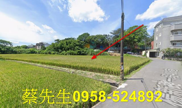 楊梅法拍農地-15