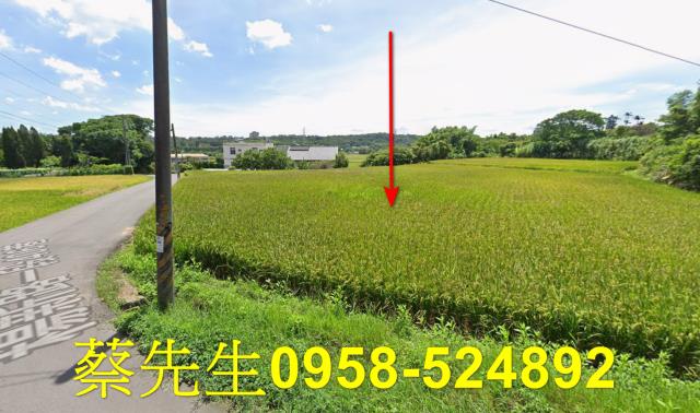 楊梅法拍農地-4