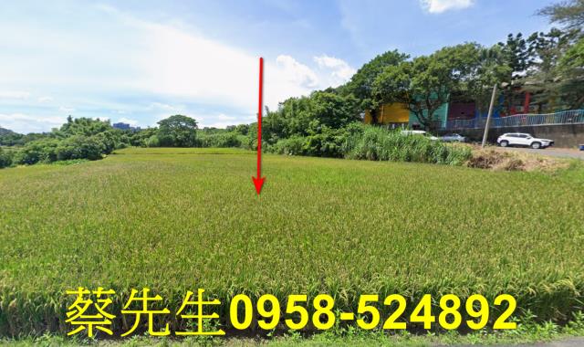 楊梅法拍農地-9