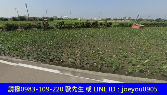 大安區法拍農地-11