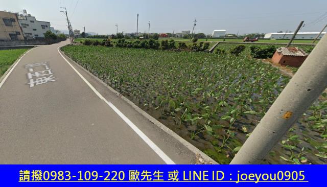 大安區法拍農地-12