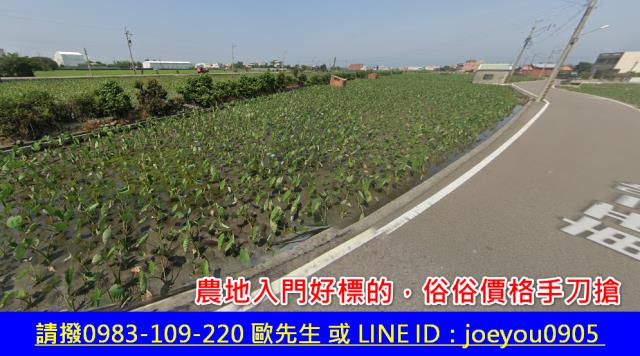 大安區法拍農地-3