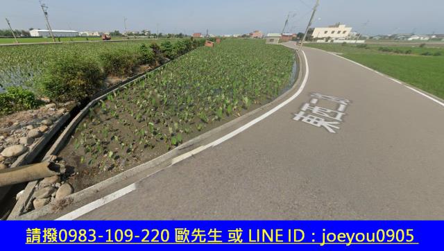 大安區法拍農地-4