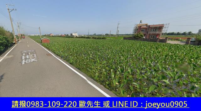 大安區農地法拍-12